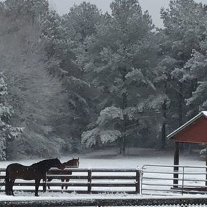 Meet your Posher, Don